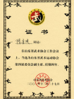 Zertifikat ShanDong WuShu Association