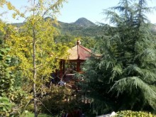 mmexport1412793168857