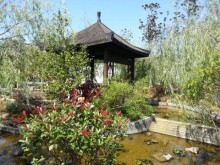 mmexport1412793389091